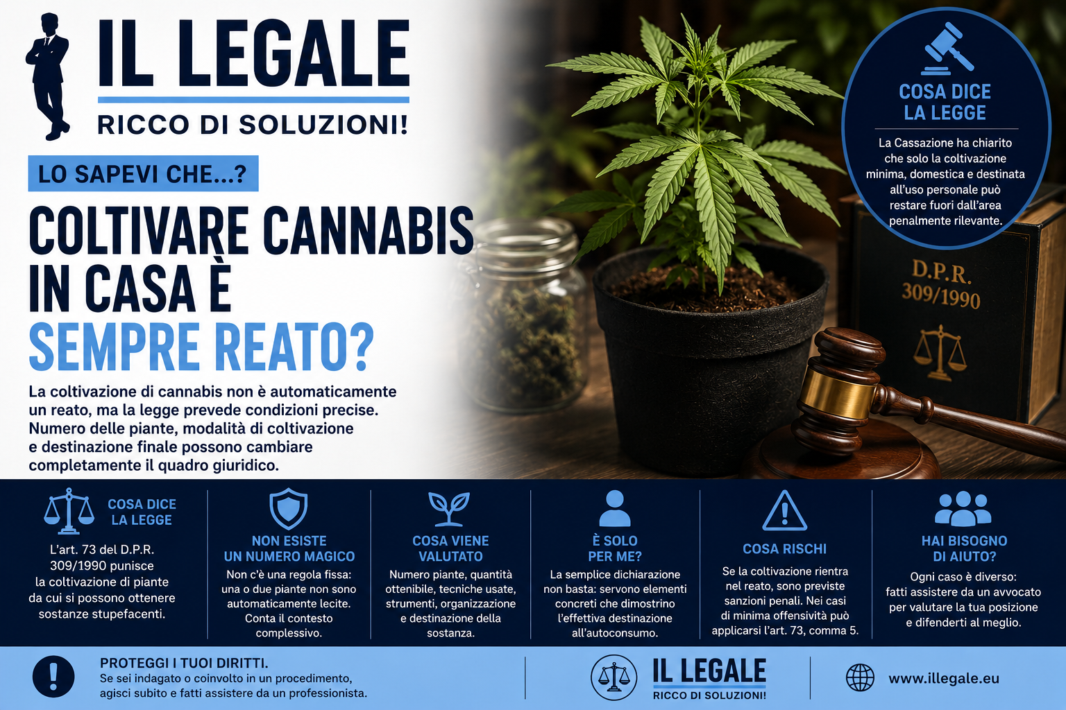 🌱 Coltivare cannabis in casa è sempre reato?